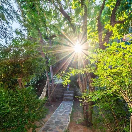 Blanka Βίλα Žrnovnica