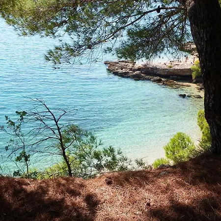 Blanka Villa Žrnovnica