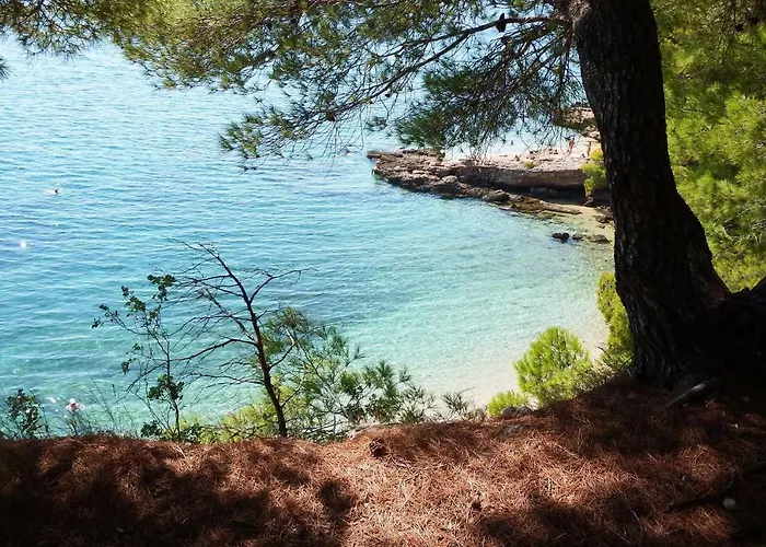 Blanka ヴィラ Žrnovnica